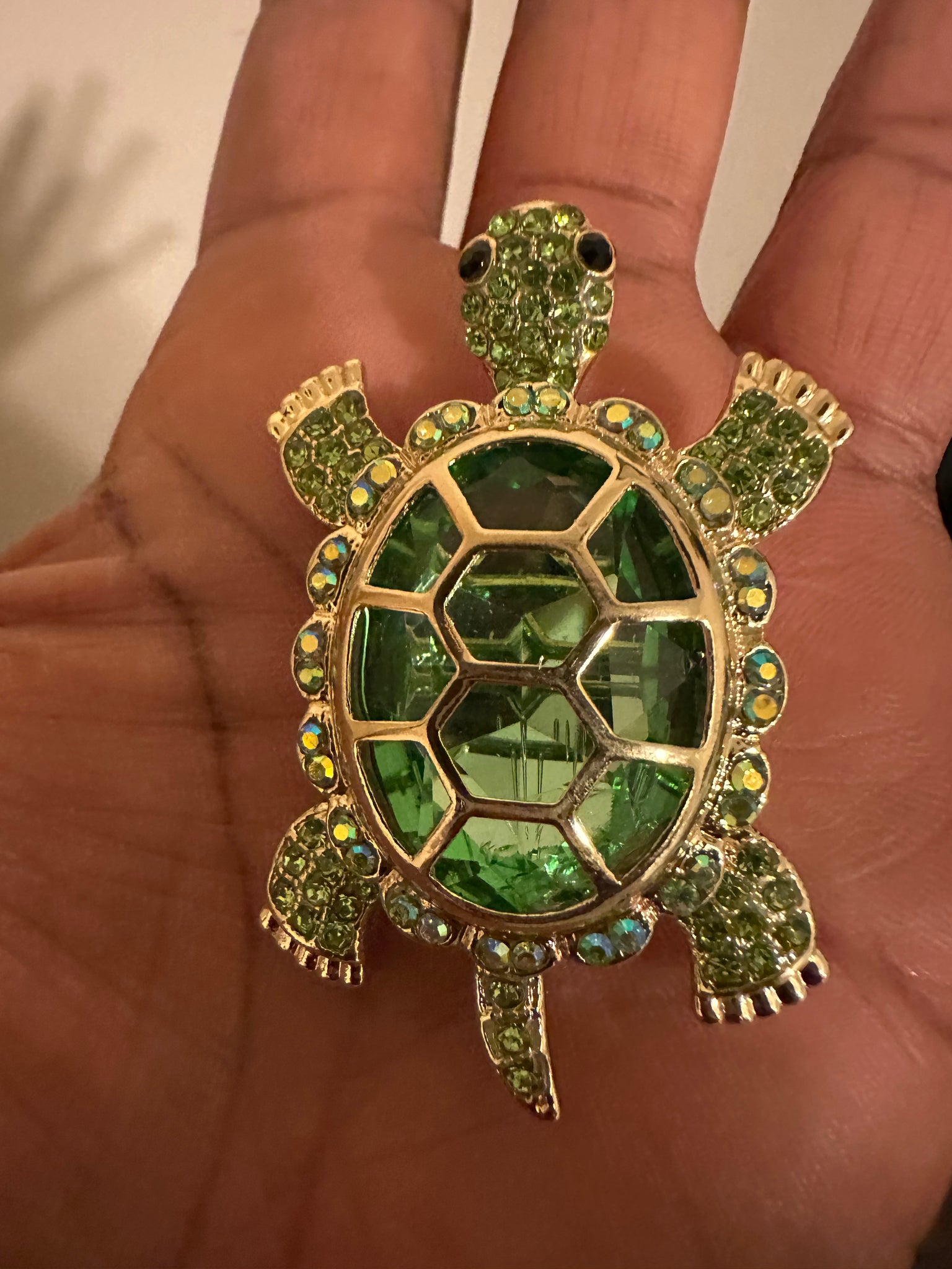 The Sparkling Turtle